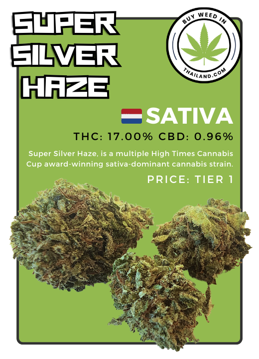 Cannabis strain for sale in Thailand Super Silver Haze Legal import from netherlands sold legally in Thailand at buy weed in Thailand flower company poster