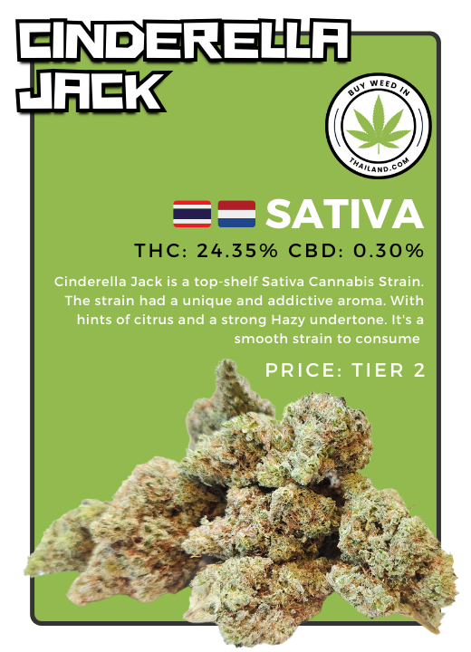 Poster with actual photos of Cinderella Jack Cannabis Flowers in Thailand. This is a Tier 2 Top Shelf Cannabis Sativa Strain